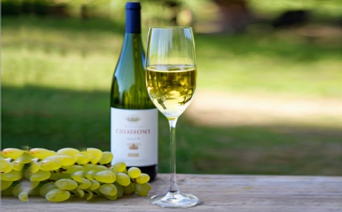 國產紅酒葡萄酒BLS餐飲集團葡萄酒推廣會